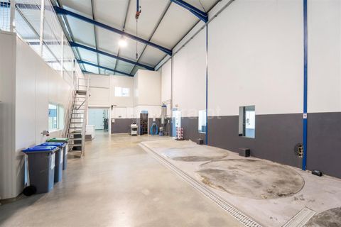 Erhvervsejendom i Ourem, Santarem, Ourem - € 495.000 | Ref: 222250167 - foto 15