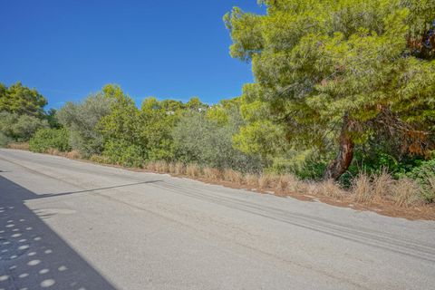 Terra a Benissa, Alicante, Benissa - € 240.000 | Ref: HIOPZNG1 - foto 21
