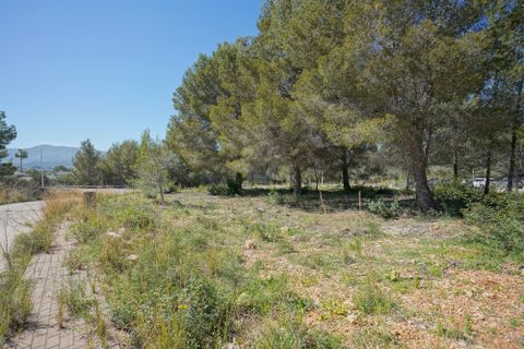 Tomt i Javea, Alicante, Javea - € 169 000 | Ref: HIPGKGIN - foto 4