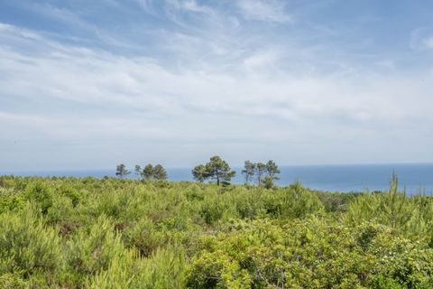 Terra a Javea, Alicante, Javea - € 599.000 | Ref: HIZITL9X - foto 2