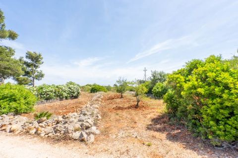 Terra a Javea, Alicante, Javea - € 599.000 | Ref: HIZITL9X - foto 9