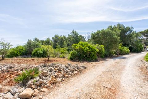 Terra a Javea, Alicante, Javea - € 599.000 | Ref: HIZITL9X - foto 10