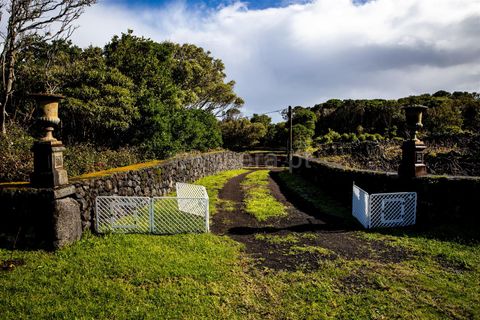 Lejlighed i Lajes do Pico, Pico, Lajes do Pico - € 364.900 | Ref: 374260008 - foto 5