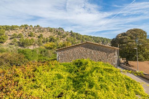 Finca i Soller, Mallorca, Soller - € 1.775.000 | Ref: FALC-Nep-61474 - foto 10