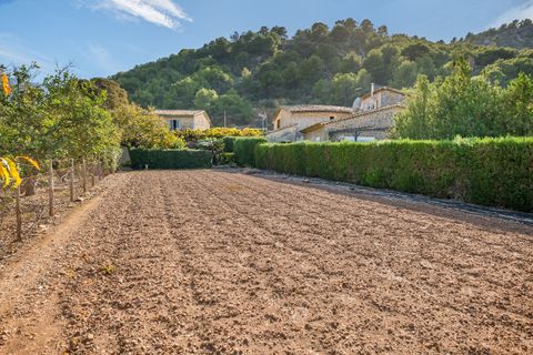 Finca i Soller, Mallorca, Soller - € 1.775.000 | Ref: FALC-Nep-61474 - foto 11