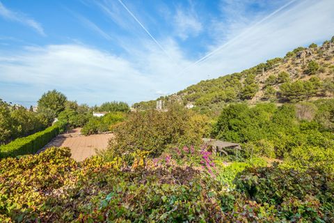 Finca i Soller, Mallorca, Soller - € 1.775.000 | Ref: FALC-Nep-61474 - foto 15