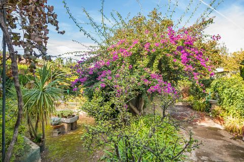 Finca i Soller, Mallorca, Soller - € 1.775.000 | Ref: FALC-Nep-61474 - foto 16