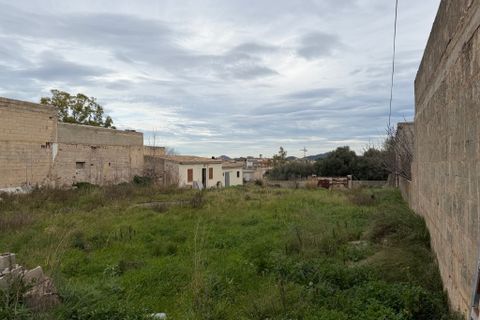 Terra a Arta, Mallorca, Arta - € 910.000 | Ref: 5622W - foto 3