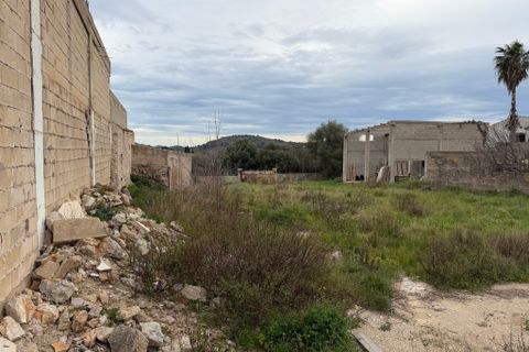 Terra a Arta, Mallorca, Arta - € 910.000 | Ref: 5622W - foto 4