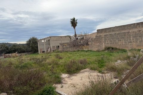 Terra a Arta, Mallorca, Arta - € 910.000 | Ref: 5622W - foto 5