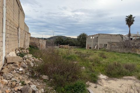 Terra a Arta, Mallorca, Arta - € 910.000 | Ref: 5622W - foto 6