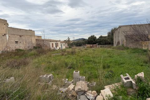 Terra a Arta, Mallorca, Arta - € 910.000 | Ref: 5622W - foto 7