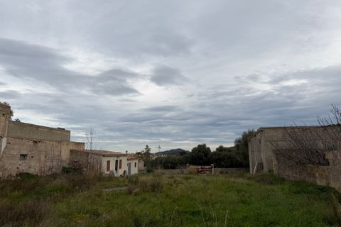 Terra a Arta, Mallorca, Arta - € 910.000 | Ref: 5622W - foto 8