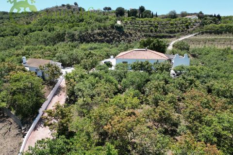 Farm i Velez Malaga, Malaga, Velez Malaga - € 1.150.000 | Ref: VEL015 - foto 2