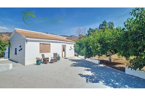 Farm i Velez Malaga, Malaga, Velez Malaga - € 1.150.000 | Ref: VEL015 - foto 22