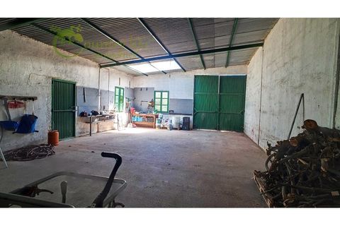 Farm i Velez Malaga, Malaga, Velez Malaga - € 1.150.000 | Ref: VEL015 - foto 31