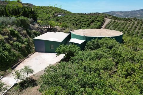 Farm i Velez Malaga, Malaga, Velez Malaga - € 1.150.000 | Ref: VEL015 - foto 32
