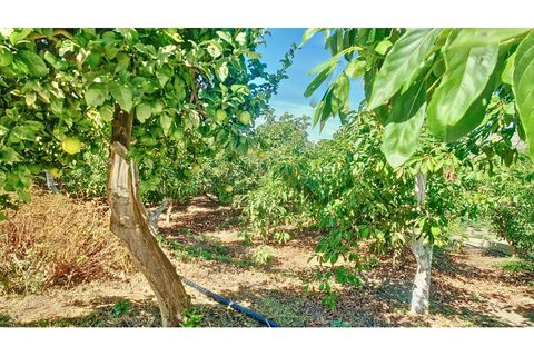 Farm i Velez Malaga, Malaga, Velez Malaga - € 1.150.000 | Ref: VEL015 - foto 33