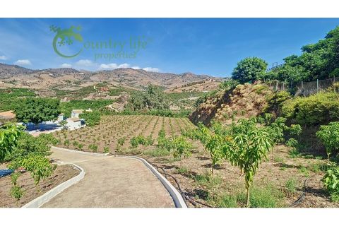 Farm i Velez Malaga, Malaga, Velez Malaga - € 1.150.000 | Ref: VEL015 - foto 34