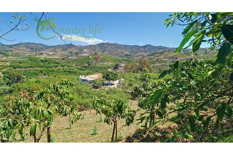 Farm i Velez Malaga, Malaga, Velez Malaga - € 1.150.000 | Ref: VEL015 - foto 38