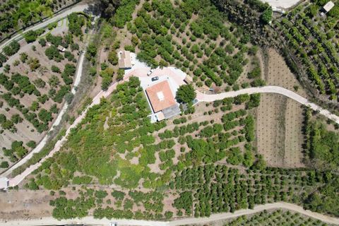 Farm i Velez Malaga, Malaga, Velez Malaga - € 1.150.000 | Ref: VEL015 - foto 39