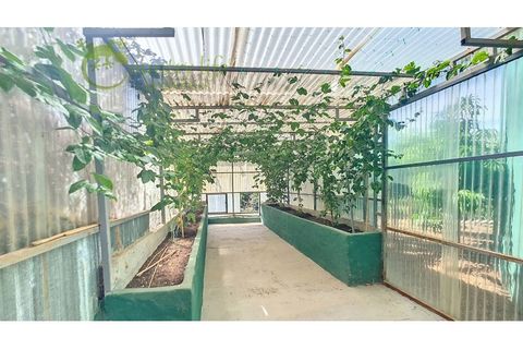 Farm i Velez Malaga, Malaga, Velez Malaga - € 1.150.000 | Ref: VEL015 - foto 42