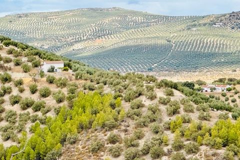Landejendom i Iznajar, Cordoba, Iznajar - € 129.000 | Ref: ID1219 - foto 8