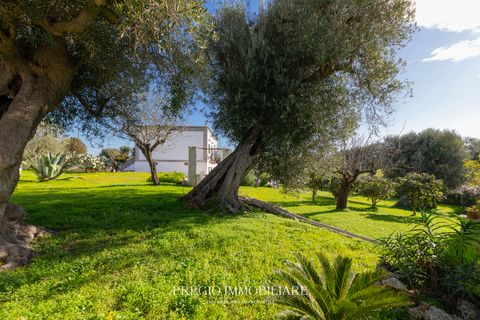 Farm hus i Ostuni, Brindisi, Ostuni - € 1.350.000 | Ref: 9113RA68374 - foto 48