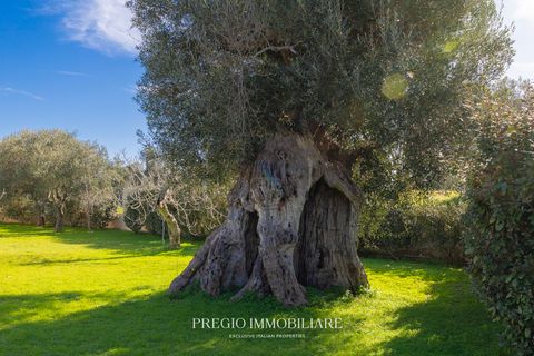 Farm hus i Ostuni, Brindisi, Ostuni - € 1.350.000 | Ref: 9113RA68374 - foto 45