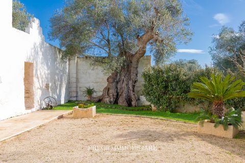 Farm hus i Ostuni, Brindisi, Ostuni - € 1.350.000 | Ref: 9113RA68374 - foto 40