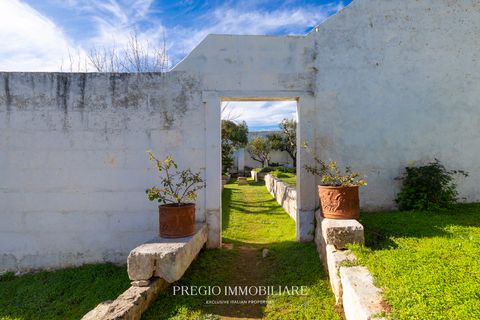Farm hus i Ostuni, Brindisi, Ostuni - € 1.350.000 | Ref: 9113RA68374 - foto 46