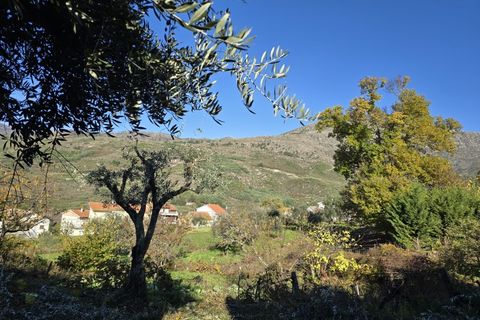 Helårsgrund i Covilha, Castelo Branco, Covilha - € 35.000 | Ref: TER_185 - foto 5