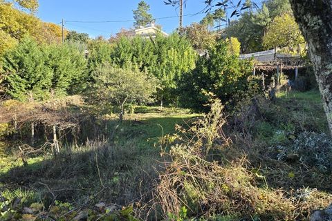 Helårsgrund i Covilha, Castelo Branco, Covilha - € 35.000 | Ref: TER_185 - foto 6