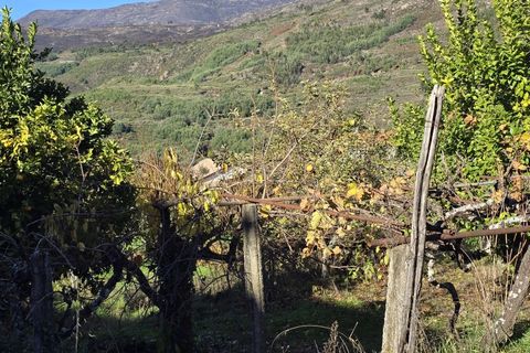 Helårsgrund i Covilha, Castelo Branco, Covilha - € 35.000 | Ref: TER_185 - foto 7