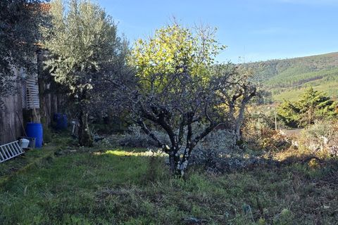 Helårsgrund i Covilha, Castelo Branco, Covilha - € 35.000 | Ref: TER_185 - foto 8