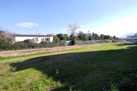 Terra a Maddaloni, Caserta, Maddaloni - € 260.000 | Ref: 66 - foto 4
