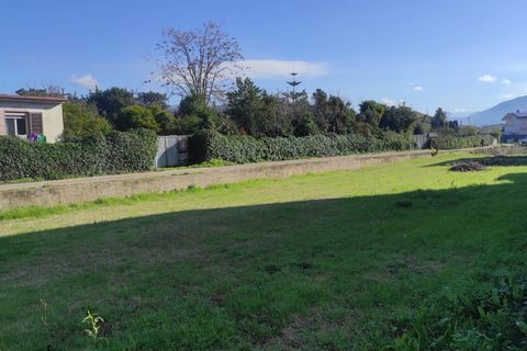 Terra a Maddaloni, Caserta, Maddaloni - € 260.000 | Ref: 66 - foto 5