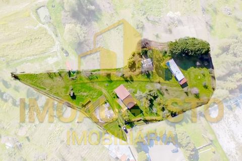 Villa i Moimenta da Serra e Vinho, Guarda, Moimenta da Serra e Vinho - € 147.999 | Ref: CAS_2403 - foto 4