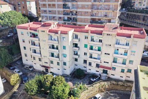 Lejlighed i Naples, Naples, Naples - € 210.000 | Ref: 48 - foto 31
