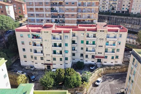Lejlighed i Naples, Naples, Naples - € 210.000 | Ref: 48 - foto 32
