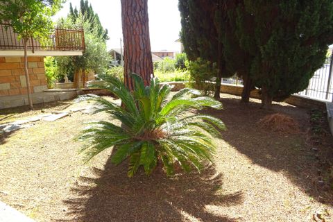 Villa i Corinaldo, Ancona, Corinaldo - € 198.000 | Ref: AA185-1 - foto 10
