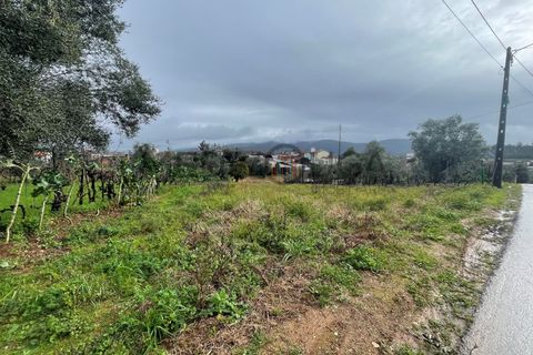 Helårsgrund i Agueda, Aveiro, Agueda - € 39.000 | Ref: IMO_263 - foto 3
