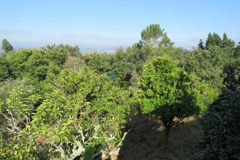 Villa i Miranda do Corvo, Coimbra, Miranda do Corvo - € 325.000 | Ref: ko2674 - foto 4