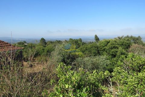 Villa i Miranda do Corvo, Coimbra, Miranda do Corvo - € 325.000 | Ref: ko2674 - foto 5