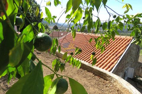Villa i Miranda do Corvo, Coimbra, Miranda do Corvo - € 325.000 | Ref: ko2674 - foto 50