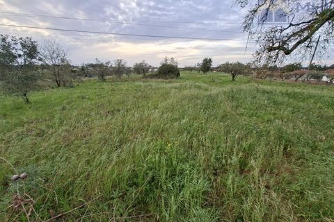 Helårsgrund i Pombal, Leiria, Pombal - € 50.000 | Ref: MHI353 - foto 1