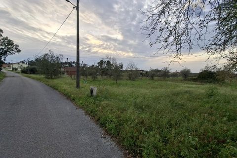 Helårsgrund i Pombal, Leiria, Pombal - € 50.000 | Ref: MHI353 - foto 2