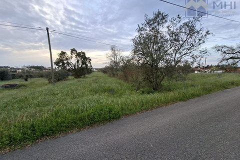 Helårsgrund i Pombal, Leiria, Pombal - € 50.000 | Ref: MHI353 - foto 7