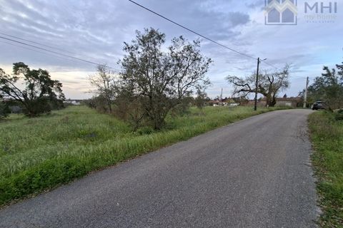 Helårsgrund i Pombal, Leiria, Pombal - € 50.000 | Ref: MHI353 - foto 9