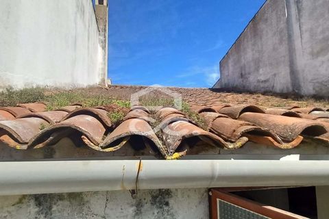 Villa i Beringel, Beja, Beringel - € 67.500 | Ref: 333/M/01449 - foto 4